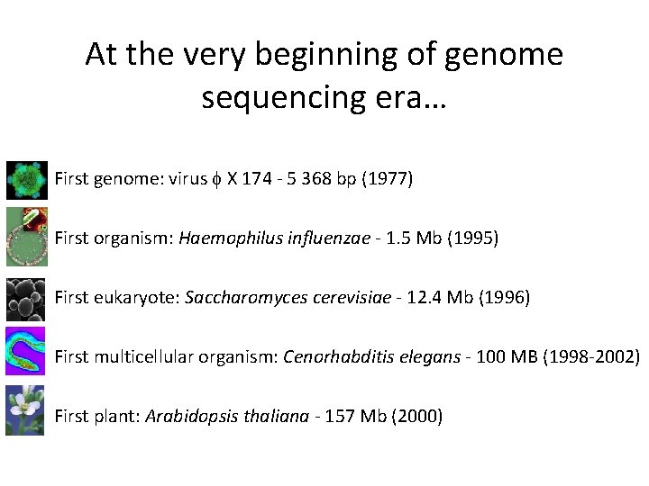At the very beginning of genome sequencing era… • First genome: virus X 174 At the very beginning of genome sequencing era… • First genome: virus X 174