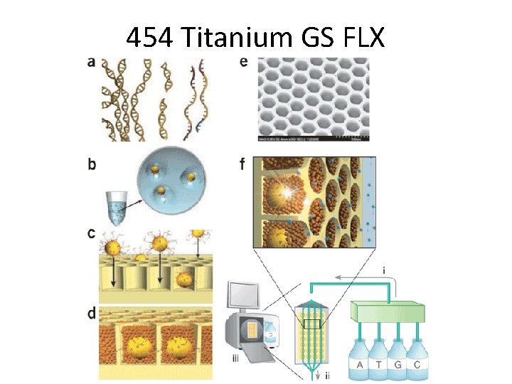 454 Titanium GS FLX 454 Titanium GS FLX