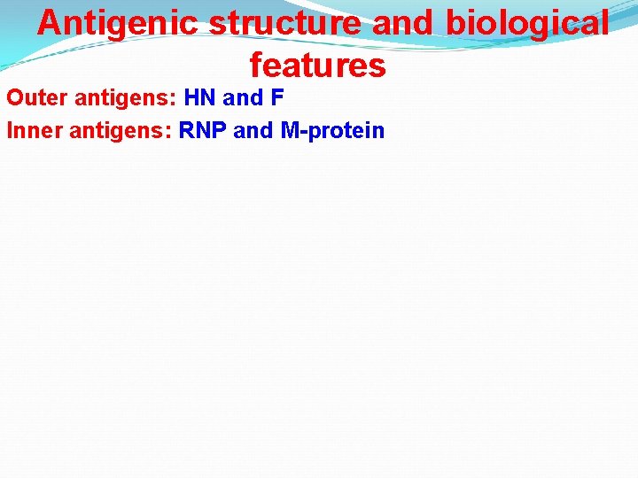 Antigenic structure and biological features Outer antigens: HN and F Inner antigens: RNP and