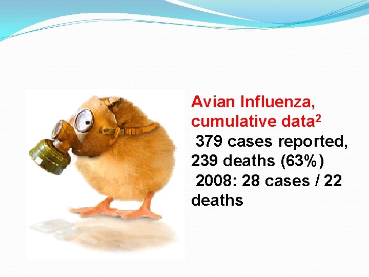 Avian Influenza, cumulative data 2 379 cases reported, 239 deaths (63%) 2008: 28 cases