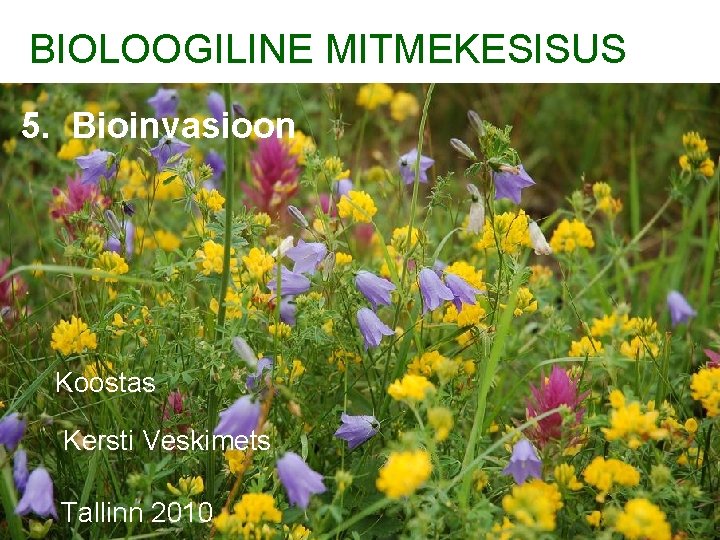 BIOLOOGILINE MITMEKESISUS 5. Bioinvasioon Koostas Kersti Veskimets Tallinn 2010 
