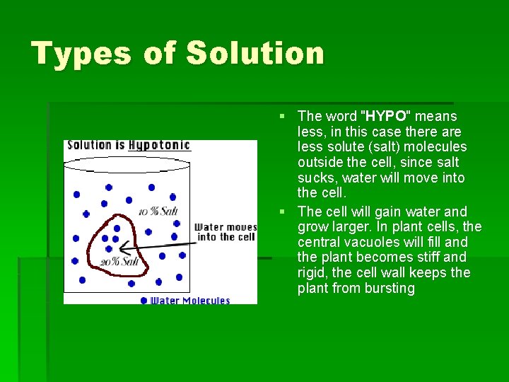 Types of Solution § The word "HYPO" means less, in this case there are