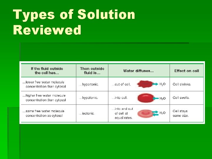 Types of Solution Reviewed 