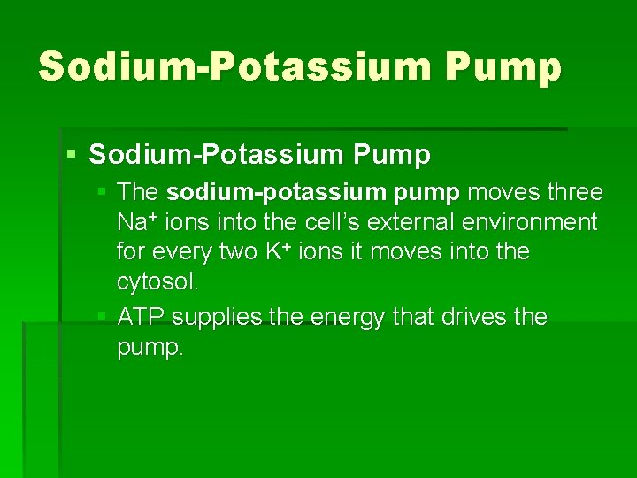 Sodium-Potassium Pump § The sodium-potassium pump moves three Na+ ions into the cell’s external