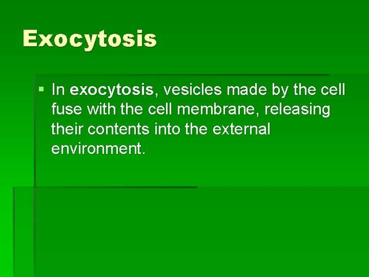 Exocytosis § In exocytosis, vesicles made by the cell fuse with the cell membrane,