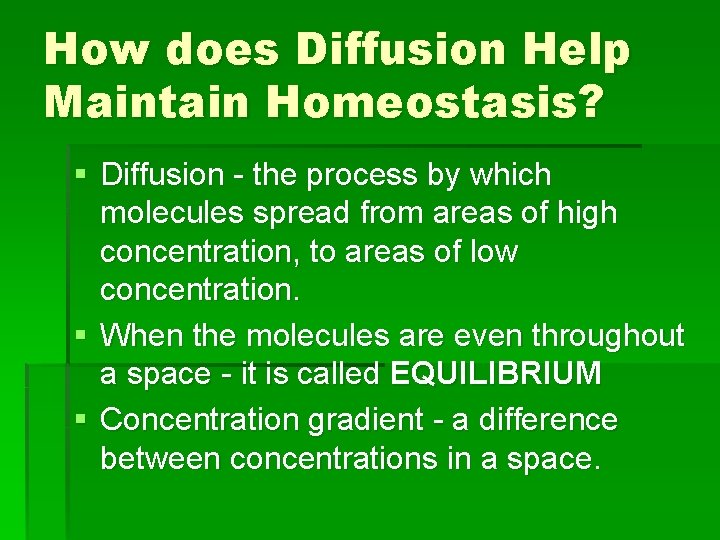 How does Diffusion Help Maintain Homeostasis? § Diffusion - the process by which molecules