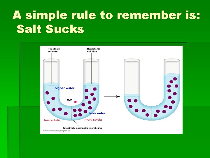 A simple rule to remember is: Salt Sucks 
