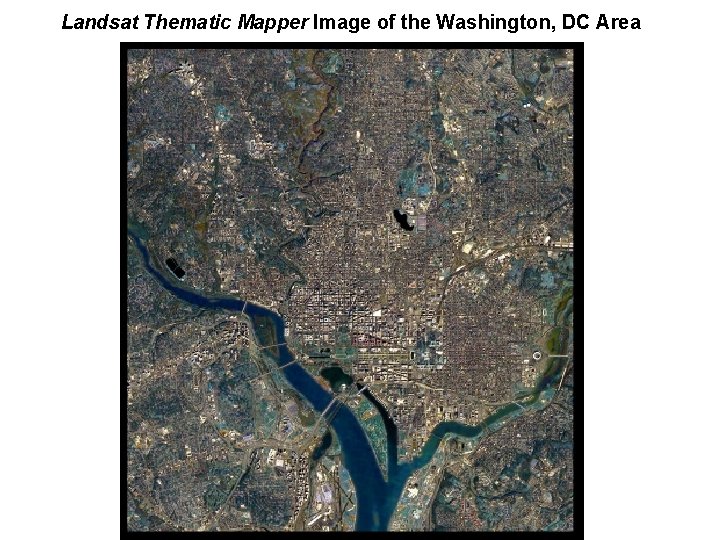 Landsat Thematic Mapper Image of the Washington, DC Area 