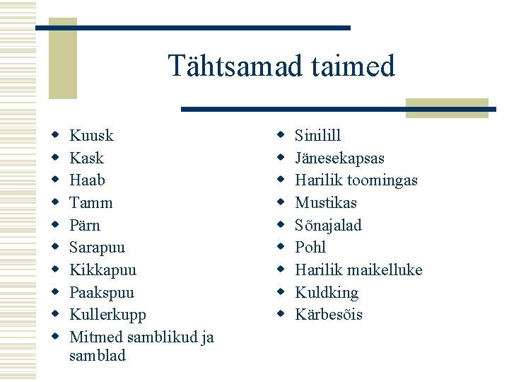 Tähtsamad taimed w w w w w Kuusk Kask Haab Tamm Pärn Sarapuu Kikkapuu