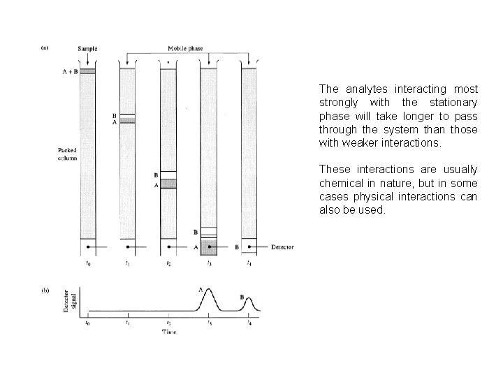 The analytes interacting most strongly with the stationary phase will take longer to pass The analytes interacting most strongly with the stationary phase will take longer to pass
