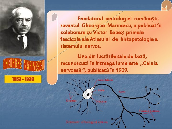 Fondatorul neurologiei româneşti, savantul Gheorghe Marinescu, a publicat în colaborare cu Victor Babeş primele