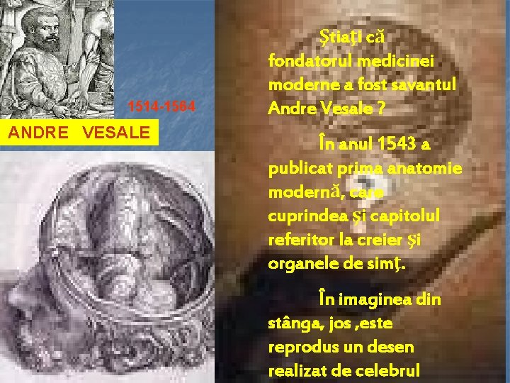 1514 -1564 ANDRE VESALE Ştiaţi că fondatorul medicinei moderne a fost savantul Andre Vesale