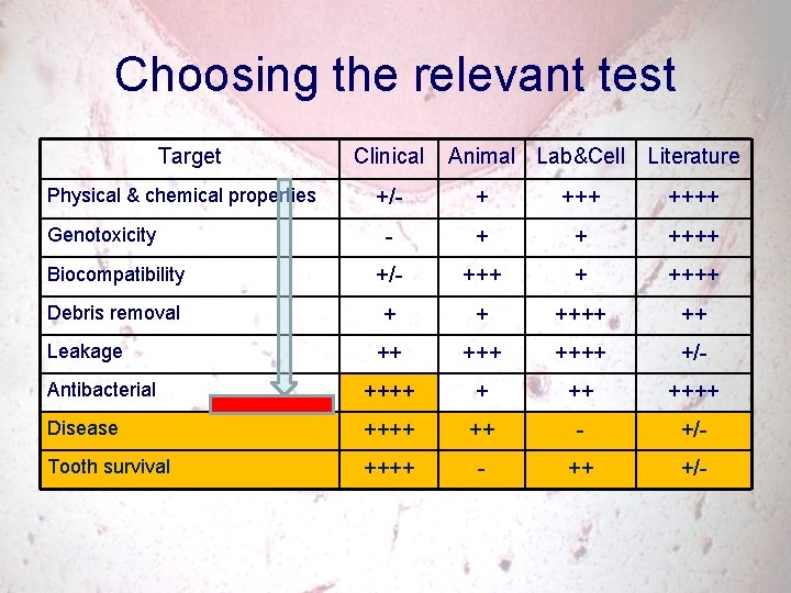 Choosing the relevant test Target Physical & chemical properties Clinical Animal Lab&Cell Literature +/-