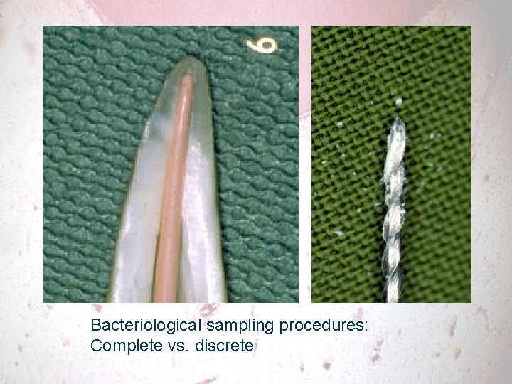 Bacteriological sampling procedures: Complete vs. discrete 