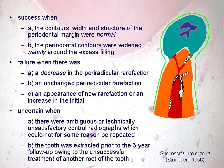  • success when – a, the contours, width and structure of the periodontal