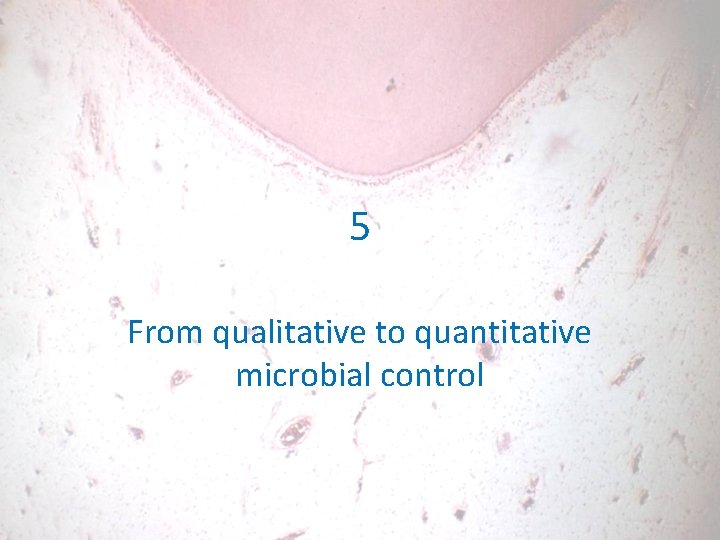 5 From qualitative to quantitative microbial control 