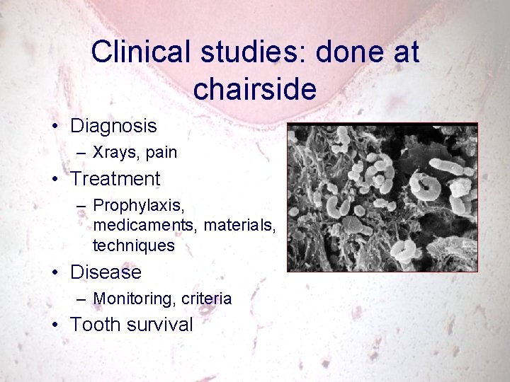Clinical studies: done at chairside • Diagnosis – Xrays, pain • Treatment – Prophylaxis,
