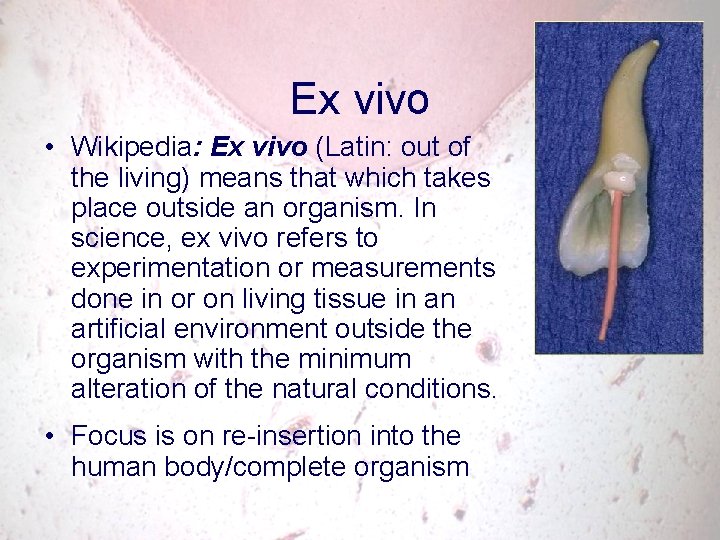 Ex vivo • Wikipedia: Ex vivo (Latin: out of the living) means that which