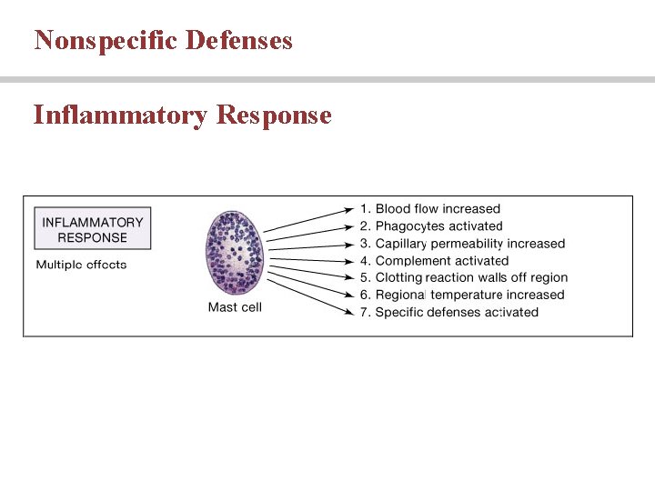 Nonspecific Defenses Inflammatory Response Nonspecific Defenses Inflammatory Response