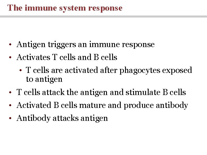 The immune system response • Antigen triggers an immune response • Activates T cells The immune system response • Antigen triggers an immune response • Activates T cells