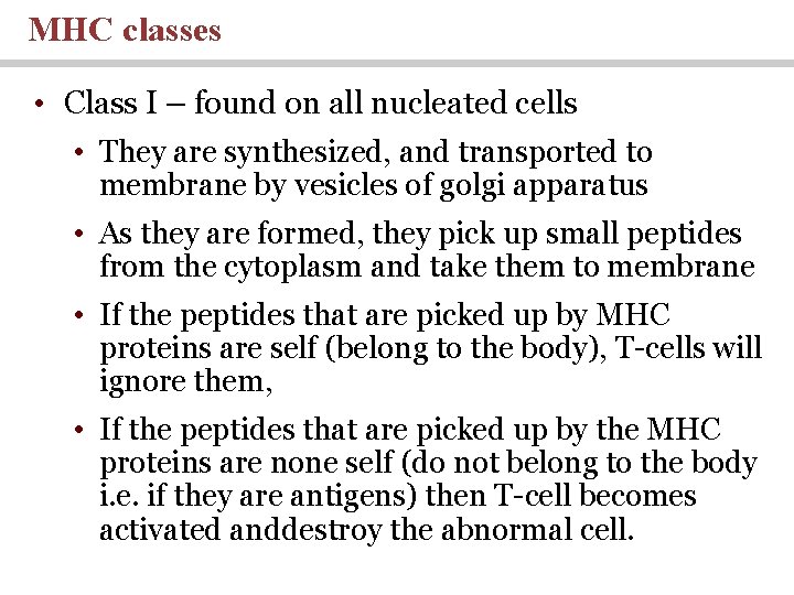MHC classes • Class I – found on all nucleated cells • They are MHC classes • Class I – found on all nucleated cells • They are