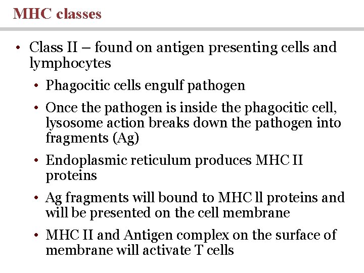 MHC classes • Class II – found on antigen presenting cells and lymphocytes • MHC classes • Class II – found on antigen presenting cells and lymphocytes •