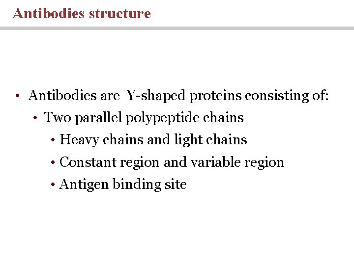 Antibodies structure • Antibodies are Y-shaped proteins consisting of: • Two parallel polypeptide chains Antibodies structure • Antibodies are Y-shaped proteins consisting of: • Two parallel polypeptide chains