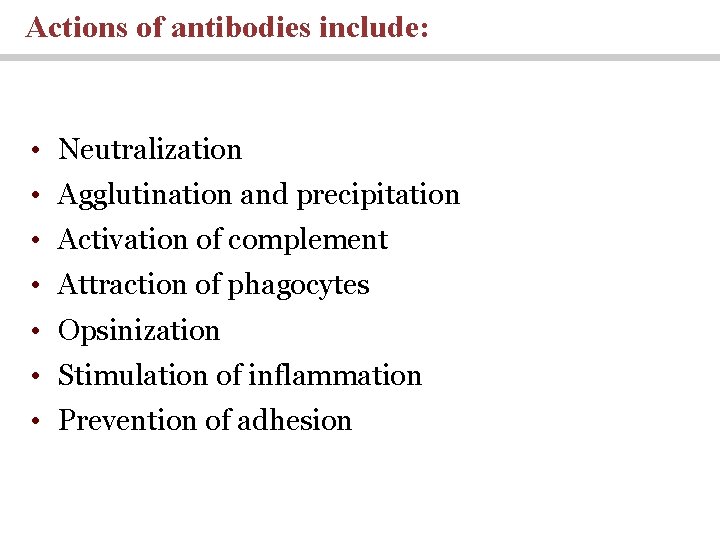Actions of antibodies include: • Neutralization • Agglutination and precipitation • Activation of complement Actions of antibodies include: • Neutralization • Agglutination and precipitation • Activation of complement