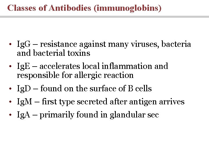 Classes of Antibodies (immunoglobins) • Ig. G – resistance against many viruses, bacteria and Classes of Antibodies (immunoglobins) • Ig. G – resistance against many viruses, bacteria and