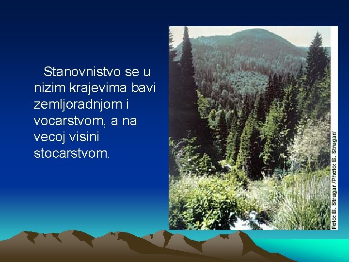 Stanovnistvo se u nizim krajevima bavi zemljoradnjom i vocarstvom, a na vecoj visini stocarstvom.