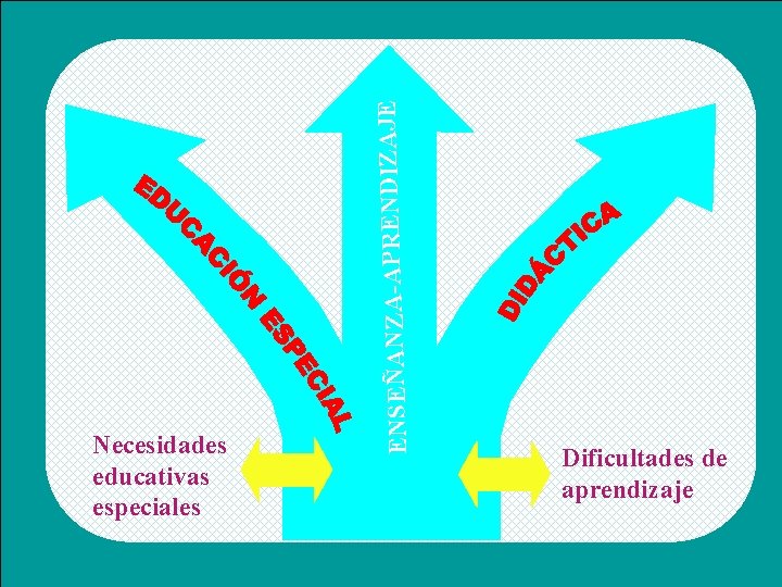 ENSEÑANZA-APRENDIZAJE Necesidades educativas especiales Dificultades de aprendizaje ENSEÑANZA-APRENDIZAJE Necesidades educativas especiales Dificultades de aprendizaje