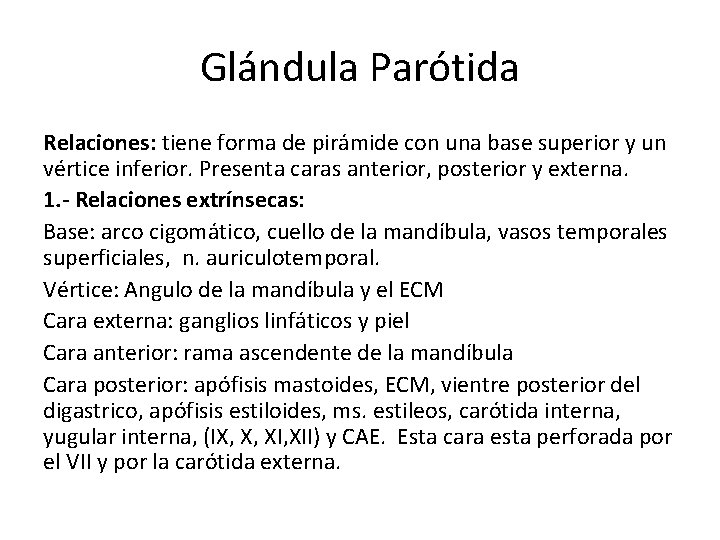 Glándula Parótida Relaciones: tiene forma de pirámide con una base superior y un vértice Glándula Parótida Relaciones: tiene forma de pirámide con una base superior y un vértice
