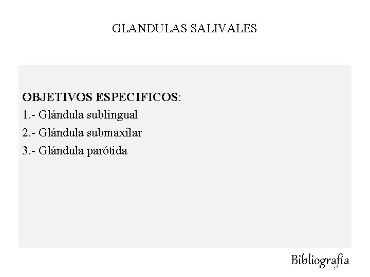 GLANDULAS SALIVALES OBJETIVOS ESPECIFICOS: 1. - Glándula sublingual 2. - Glándula submaxilar 3. - GLANDULAS SALIVALES OBJETIVOS ESPECIFICOS: 1. - Glándula sublingual 2. - Glándula submaxilar 3. -