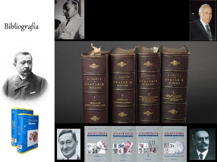 Bibliografía Bibliografía