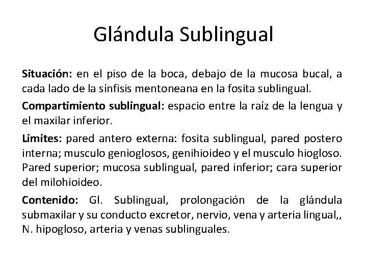 Glándula Sublingual Situación: en el piso de la boca, debajo de la mucosa bucal, Glándula Sublingual Situación: en el piso de la boca, debajo de la mucosa bucal,