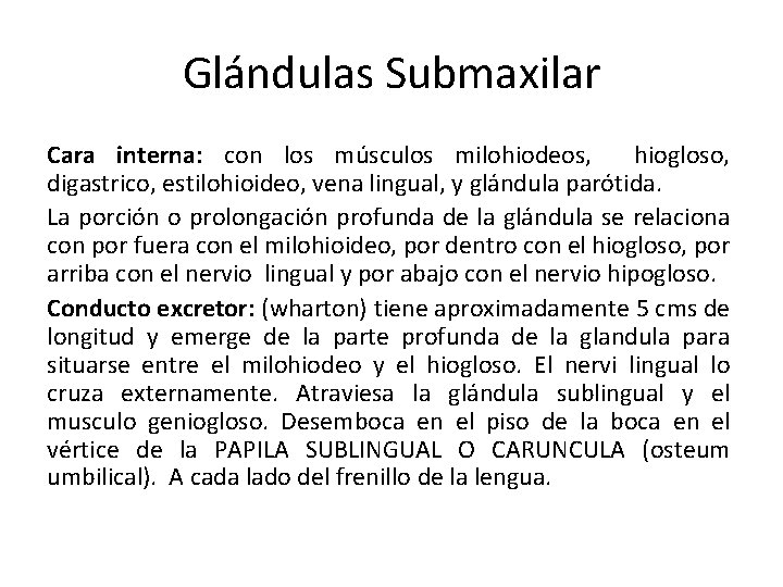 Glándulas Submaxilar Cara interna: con los músculos milohiodeos, hiogloso, digastrico, estilohioideo, vena lingual, y Glándulas Submaxilar Cara interna: con los músculos milohiodeos, hiogloso, digastrico, estilohioideo, vena lingual, y