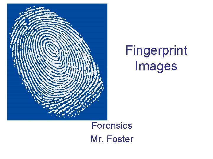 Fingerprint Images Forensics Mr. Foster 