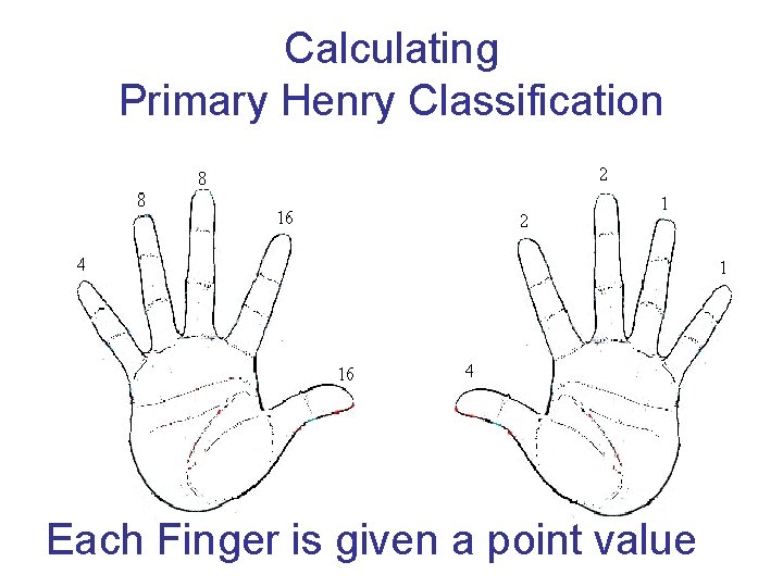 Calculating Primary Henry Classification Each Finger is given a point value 