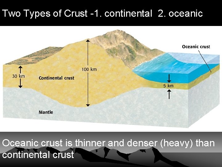 Two Types of Crust -1. continental 2. oceanic Oceanic crust is thinner and denser