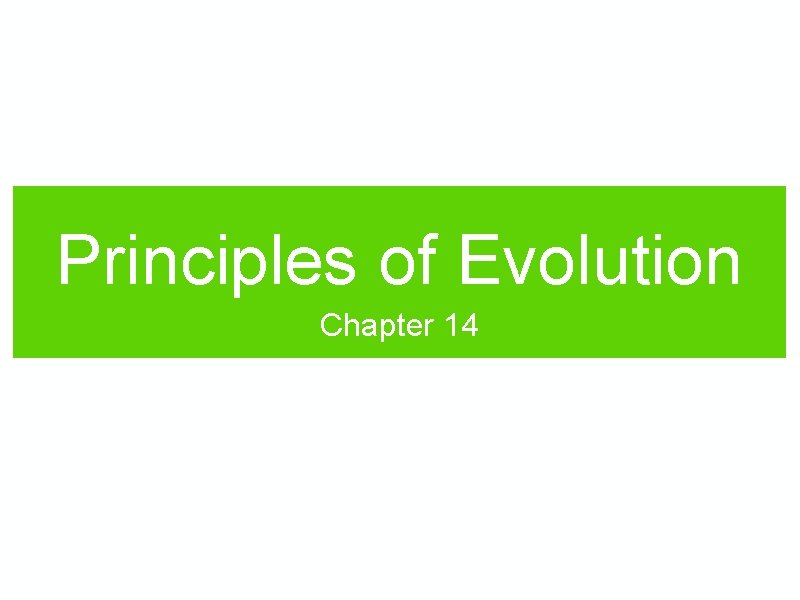 Principles of Evolution Chapter 14 