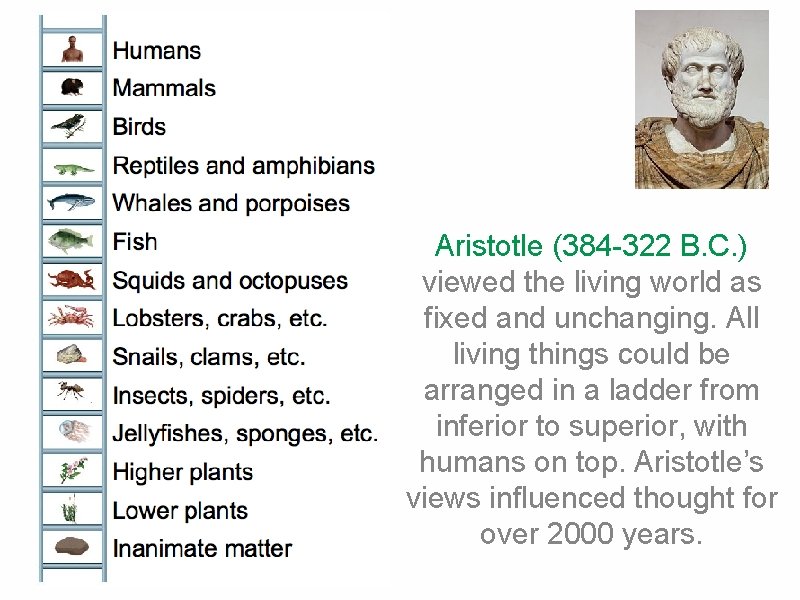 Aristotle (384 -322 B. C. ) viewed the living world as fixed and unchanging.