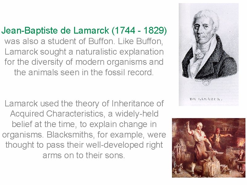 Jean-Baptiste de Lamarck (1744 - 1829) was also a student of Buffon. Like Buffon,