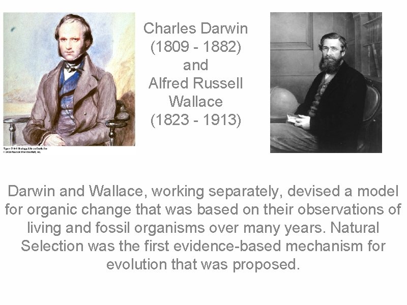 Charles Darwin (1809 - 1882) and Alfred Russell Wallace (1823 - 1913) Darwin and