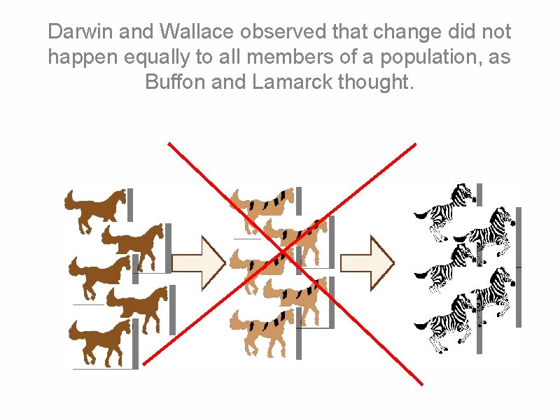 Darwin and Wallace observed that change did not happen equally to all members of