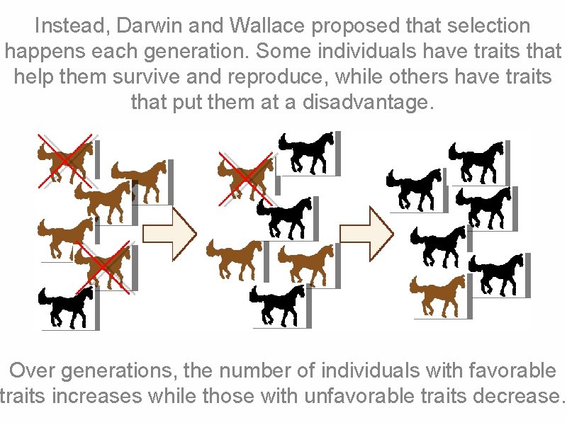 Instead, Darwin and Wallace proposed that selection happens each generation. Some individuals have traits