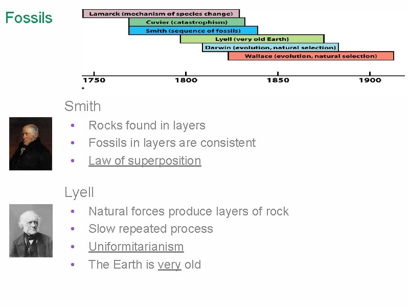 Fossils Smith • • • Rocks found in layers Fossils in layers are consistent