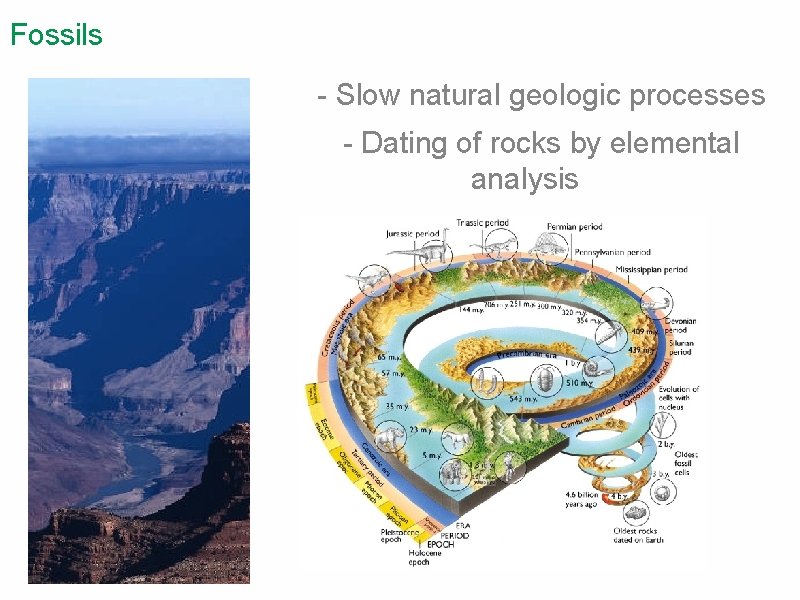 Fossils - Slow natural geologic processes - Dating of rocks by elemental analysis 