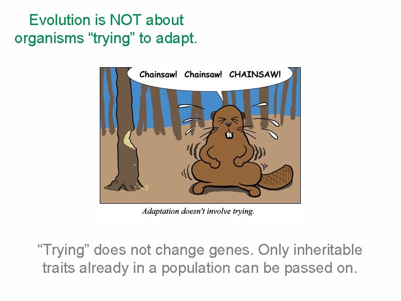 Evolution is NOT about organisms “trying” to adapt. “Trying” does not change genes. Only