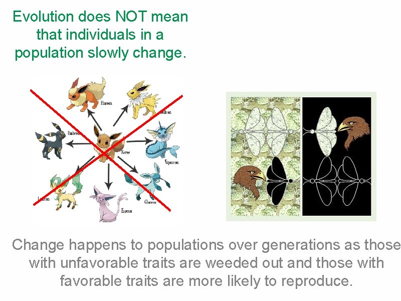 Evolution does NOT mean that individuals in a population slowly change. Change happens to