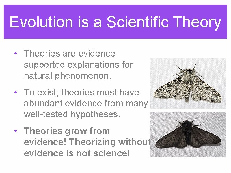 Evolution is a Scientific Theory • Theories are evidencesupported explanations for natural phenomenon. •